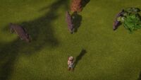 SH - Finngard look out