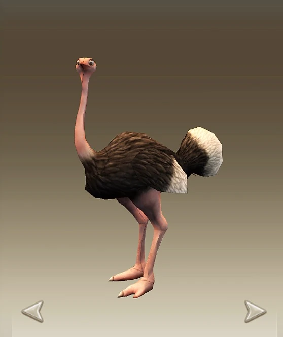 Ostrich | How to Train Your Dragon Wiki | Fandom