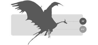 Typhoomerang | How to Train Your Dragon Wiki | Fandom