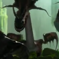 Dragon 9.1