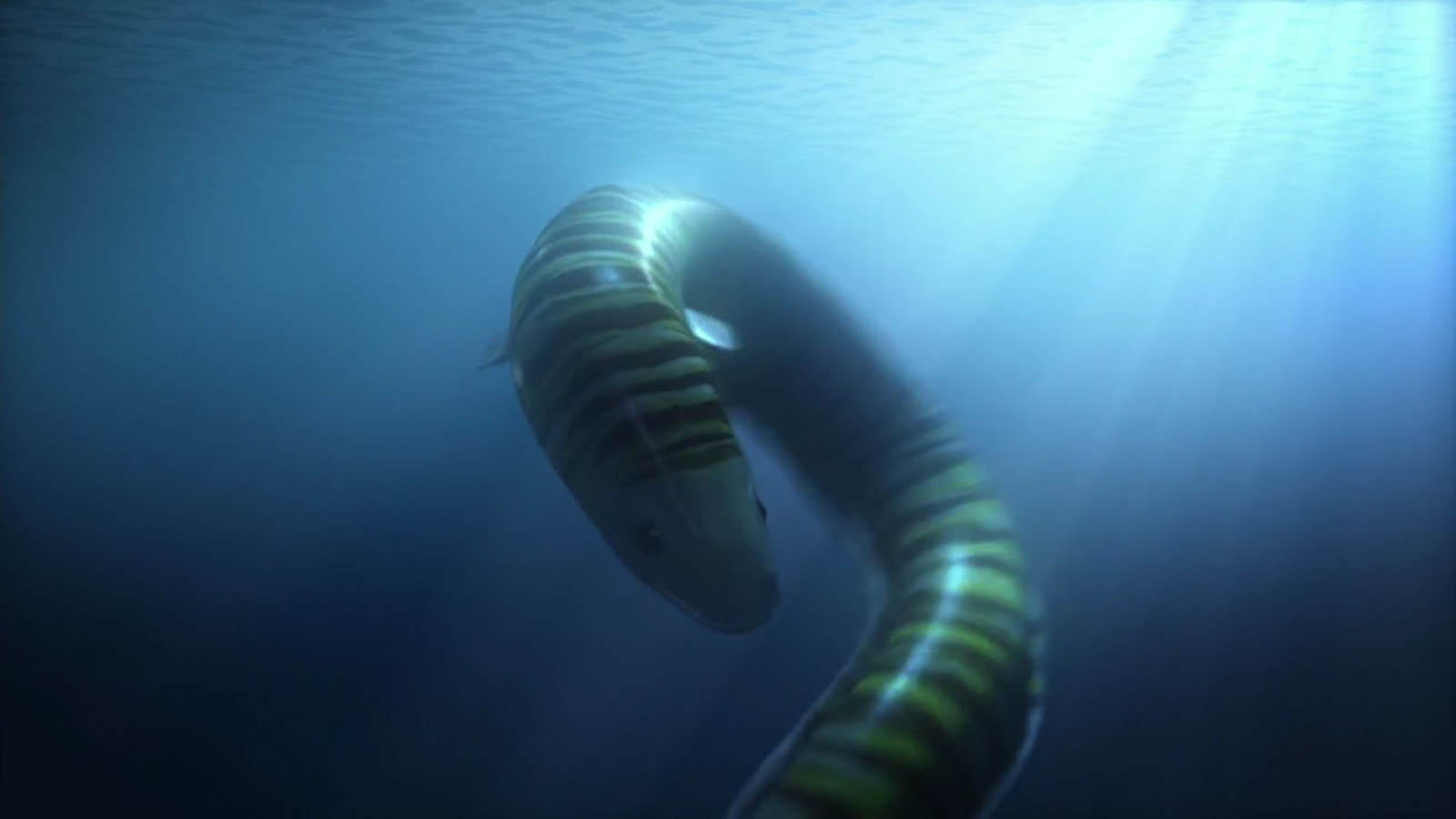 Image - Giant electric eel 6.png | How to Train Your Dragon Wiki ...