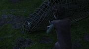 HiccupandToothless(558)