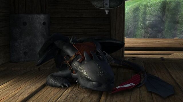 File:Toothless(79).jpg