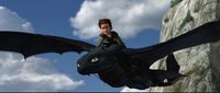 Test flight on Toothless