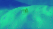 Thermalvision
