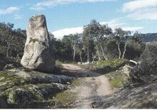 Vista de ruta