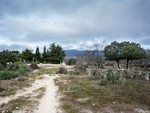 Camino de Hoyo al Pardo b