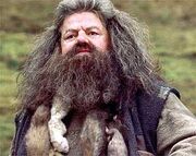 Rubeushagrid1