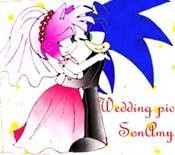 Prince Sonic wasp