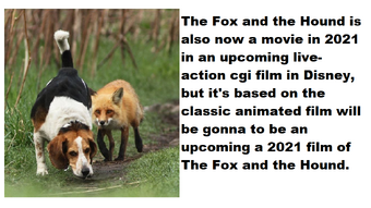 Why Can T The Fox And The Hound Is Upcoming In 2021 Blogspot