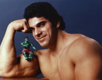 lou ferrigno hulk figure