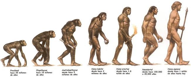 Примеры современных людей. Эволюция человека хомо сапиенс. Хомо хабилис австралопитек. Австралопитек хомо сапиенс. Хомо сапиенс обезьяна.