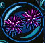 Purple Sea Urchin