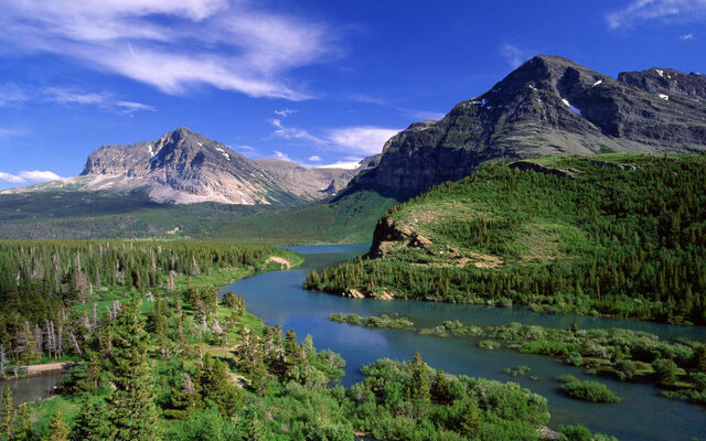 File:Forest-at-the-mountains.jpg