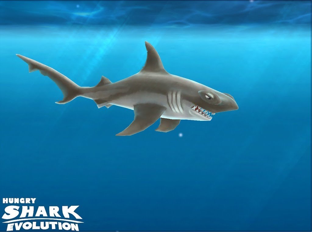 Hammerhai | Hungry Shark Evolution Wiki | Fandom