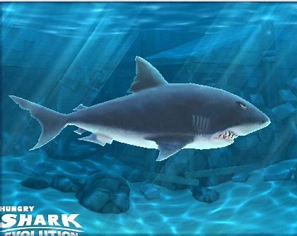 Großer weißer Hai | Hungry Shark Evolution Wiki | FANDOM powered by Wikia