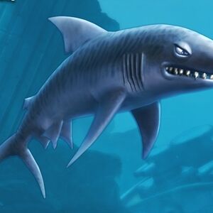 New Ideas For Hse And Hsw Hungry Shark Wiki Fandom