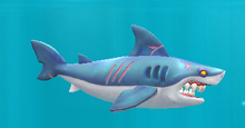 Wereshark day form
