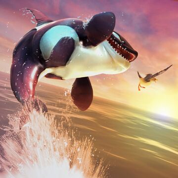 Killer Whale Hsw Hungry Shark Wiki Fandom