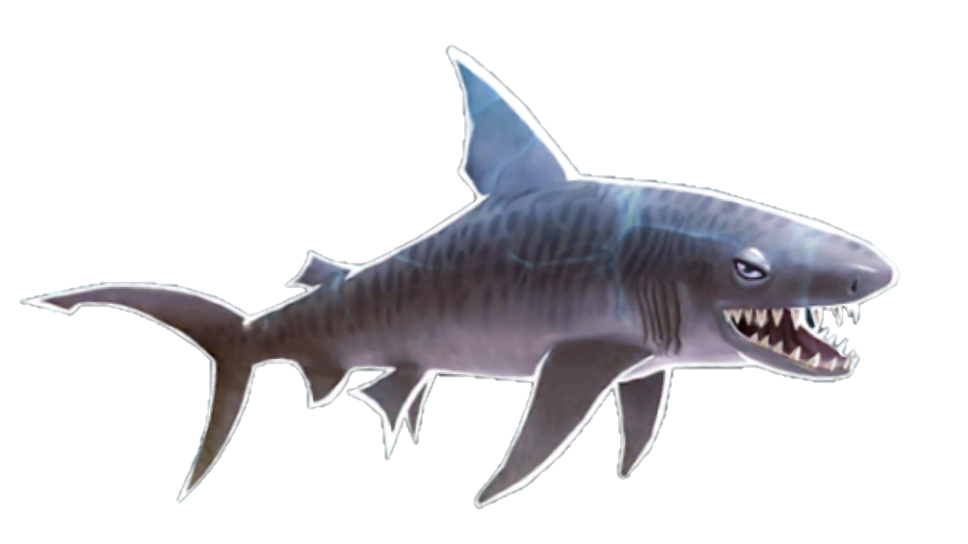 Image - Tiger Shark.png | Hungry Shark Wiki | FANDOM powered by Wikia