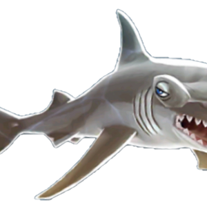 New Ideas For Hse And Hsw Hungry Shark Wiki Fandom