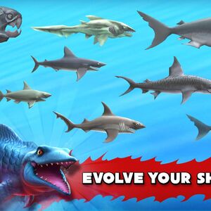 Baby Shark Real Name