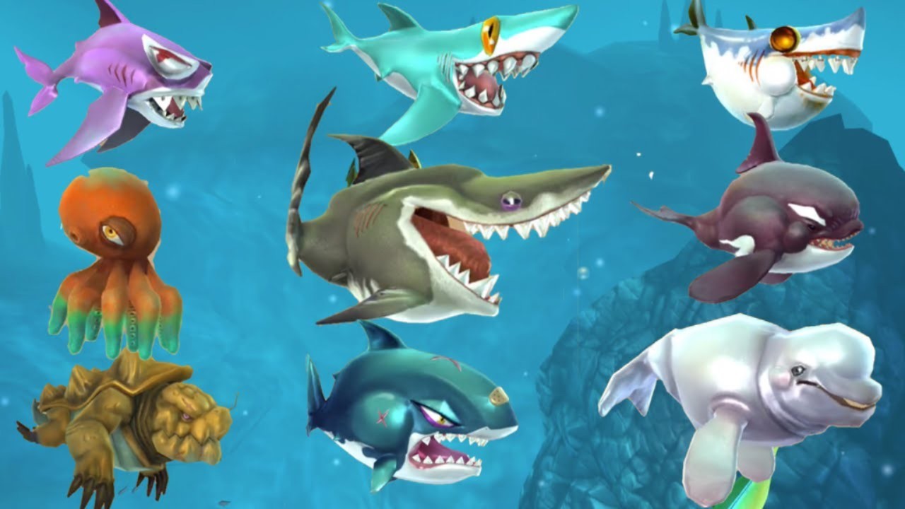Pets Hungry Shark Wiki FANDOM Powered By Wikia - 480x360 - jpeg Baby Sharks As Pets
