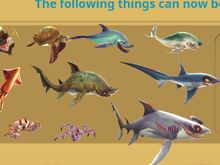 Enemy M Sharks png
