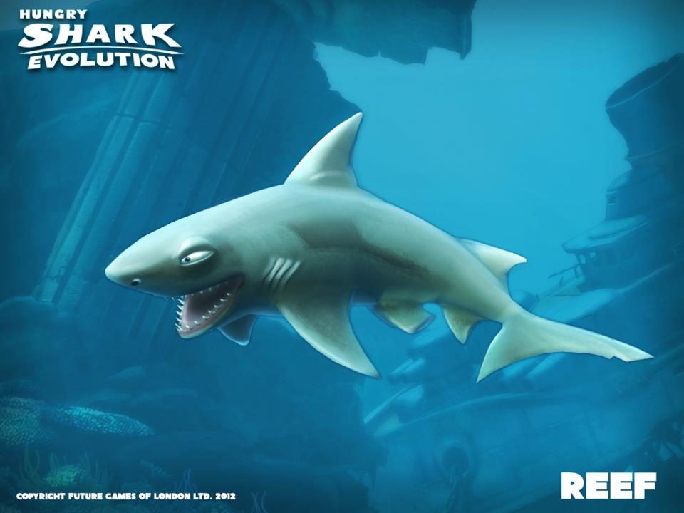 Sharkcom Games Top Sharks In Video Games Shark Hungry Shark - roblox paper ball simulator codes wiki