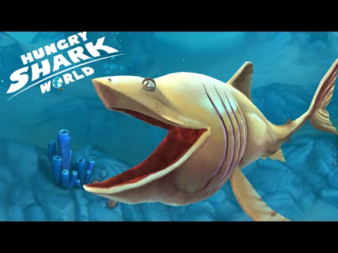 hungry shark