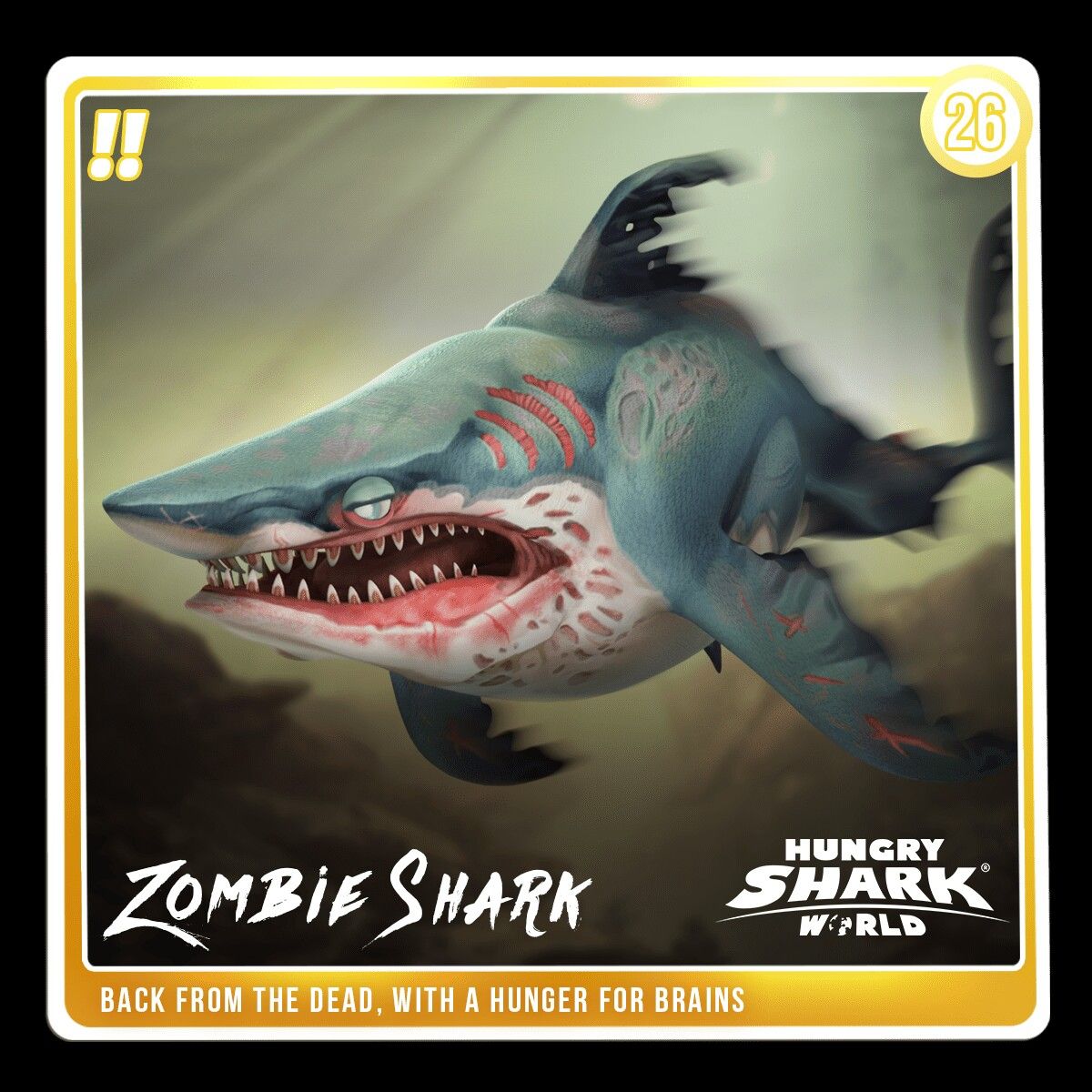 Zombie Shark Hungry Shark Wiki Fandom - hammerhead roblox shark bite wiki fandom