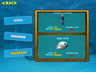 Shark finner
