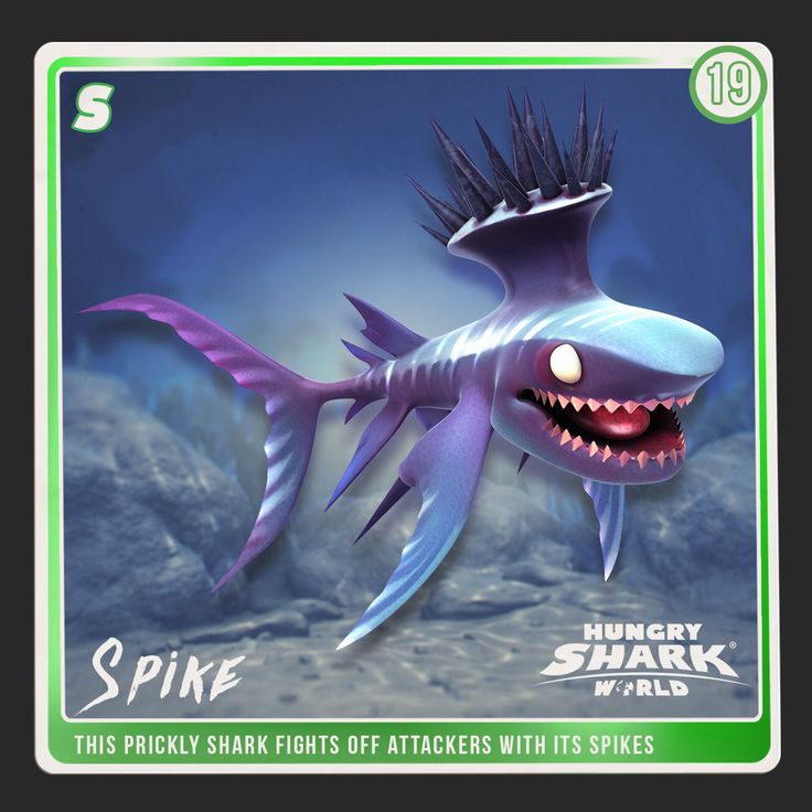 stethacanthus toy