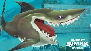 Max Hungry Shark Wiki Fandom