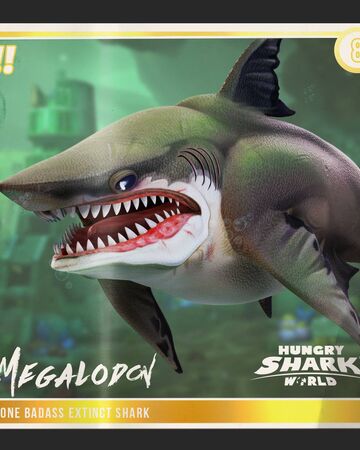 Megalodon Hsw Hungry Shark Wiki Fandom