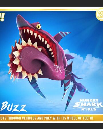 Buzz Helicoprion Hungry Shark Wiki Fandom
