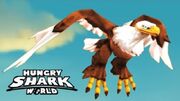 NoHairEagle