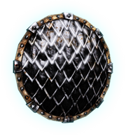 Dragon scale shield
