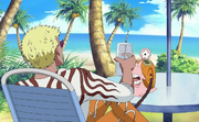 Disco Calls Doflamingo