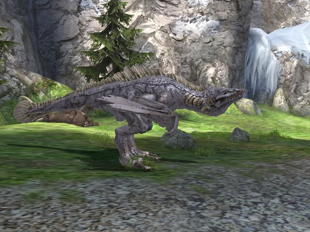File:Lizard.jpg