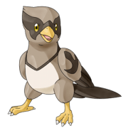 Windbird02-hd