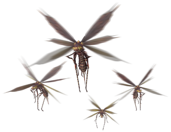 Vespoids