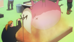 Todo cooking pig