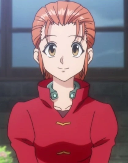 Mito Freecss | Hunter X Hunter Wikia | Fandom