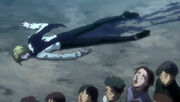 Shaia death