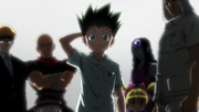 A healed Gon