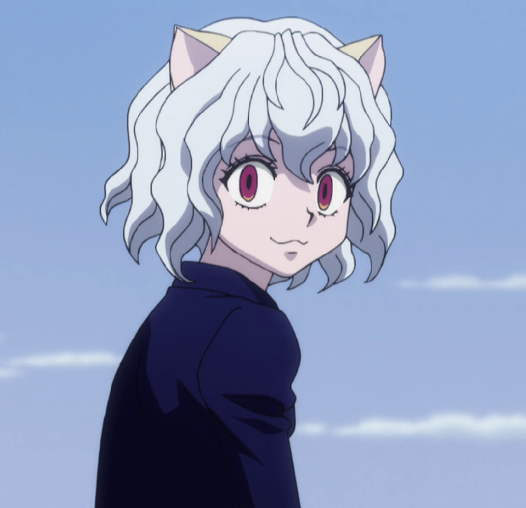 Neferpitou Hunterpedia FANDOM Powered By Wikia