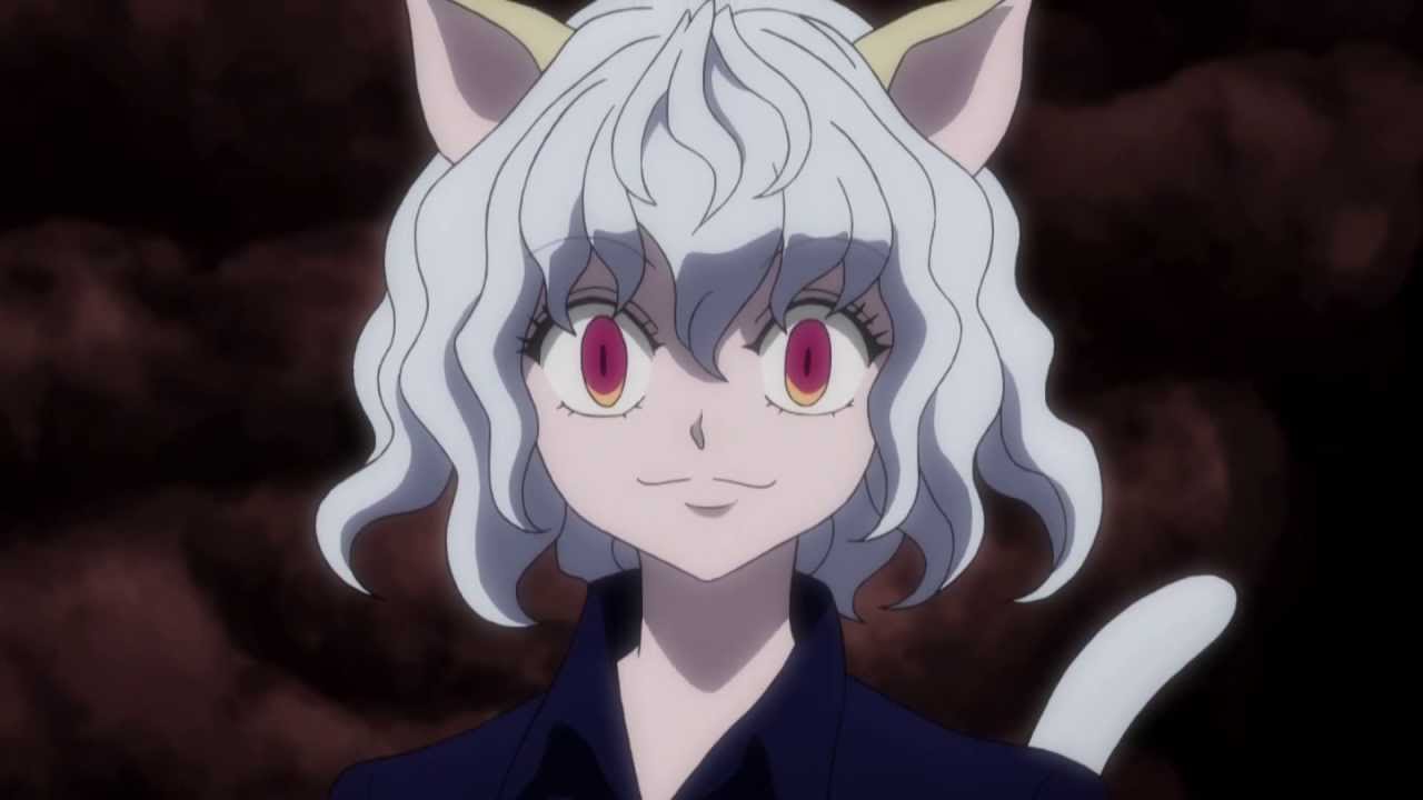 Bild Pitou Hunter X Hunter Wikia Fandom Powered By Wikia 9983