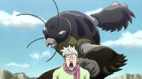 Pekuba death