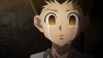 Hunter X Hunter Pitou Death Episode Hunter X Hunter Pitou Death Episode